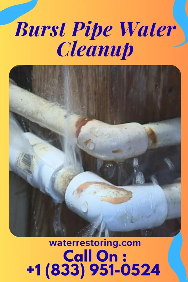 Burst Pipe Water Cleanup in Druid Hills, GA