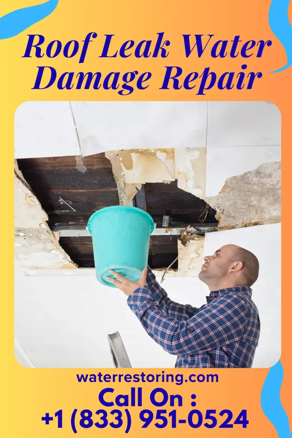 Roof Leak Water Damage Repair in Druid Hills, GA